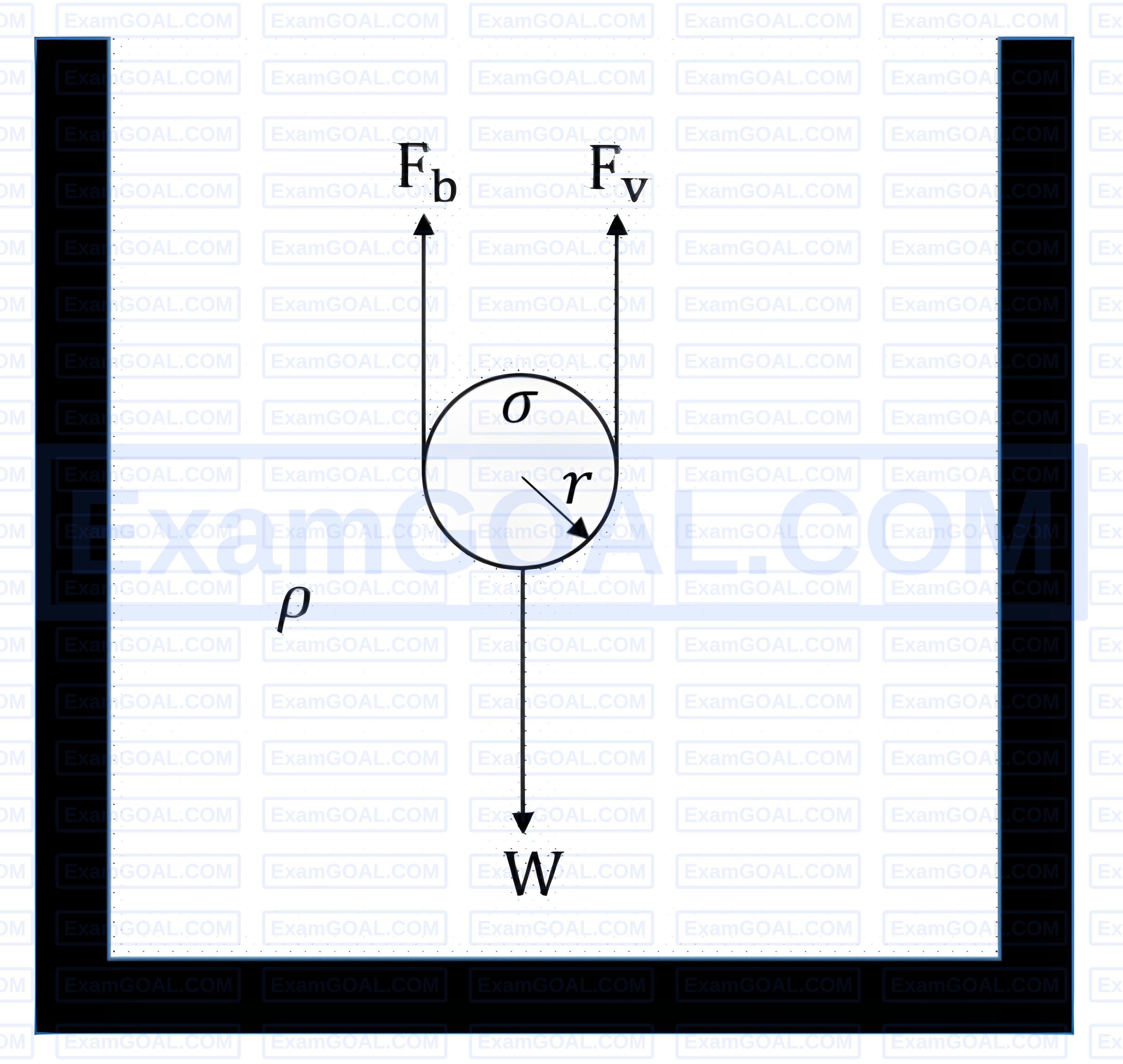 iCON Education - Units & Measurements