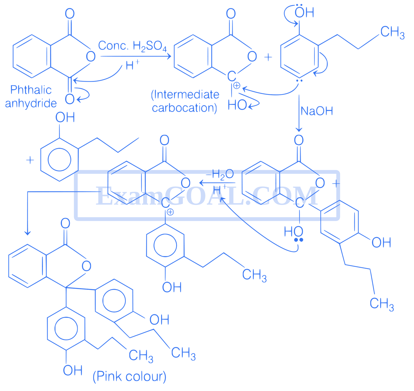 JEE Main 2021 (Online) 24th February Morning Shift Chemistry - Alcohols, Phenols and Ethers Question 118 English Explanation