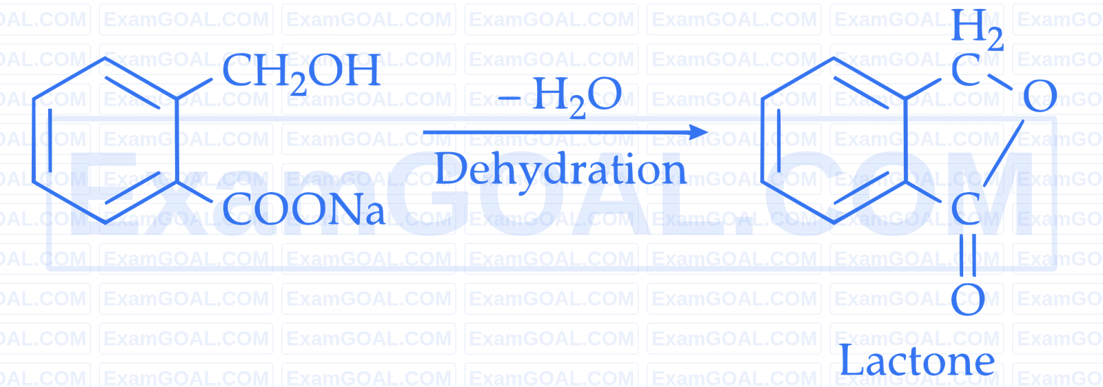 IIT-JEE 2006 Chemistry - Aldehydes, Ketones and Carboxylic Acids Question 2 English Explanation 5