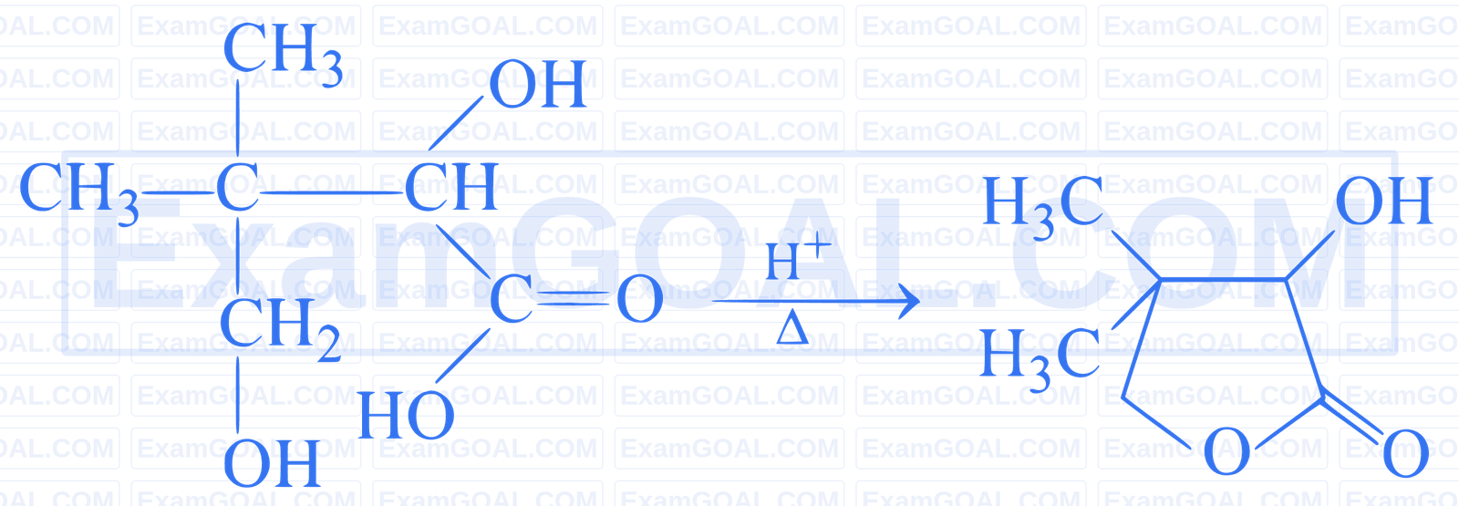 IIT-JEE 2010 Paper 2 Offline Chemistry - Aldehydes, Ketones and Carboxylic Acids Question 6 English Explanation 2