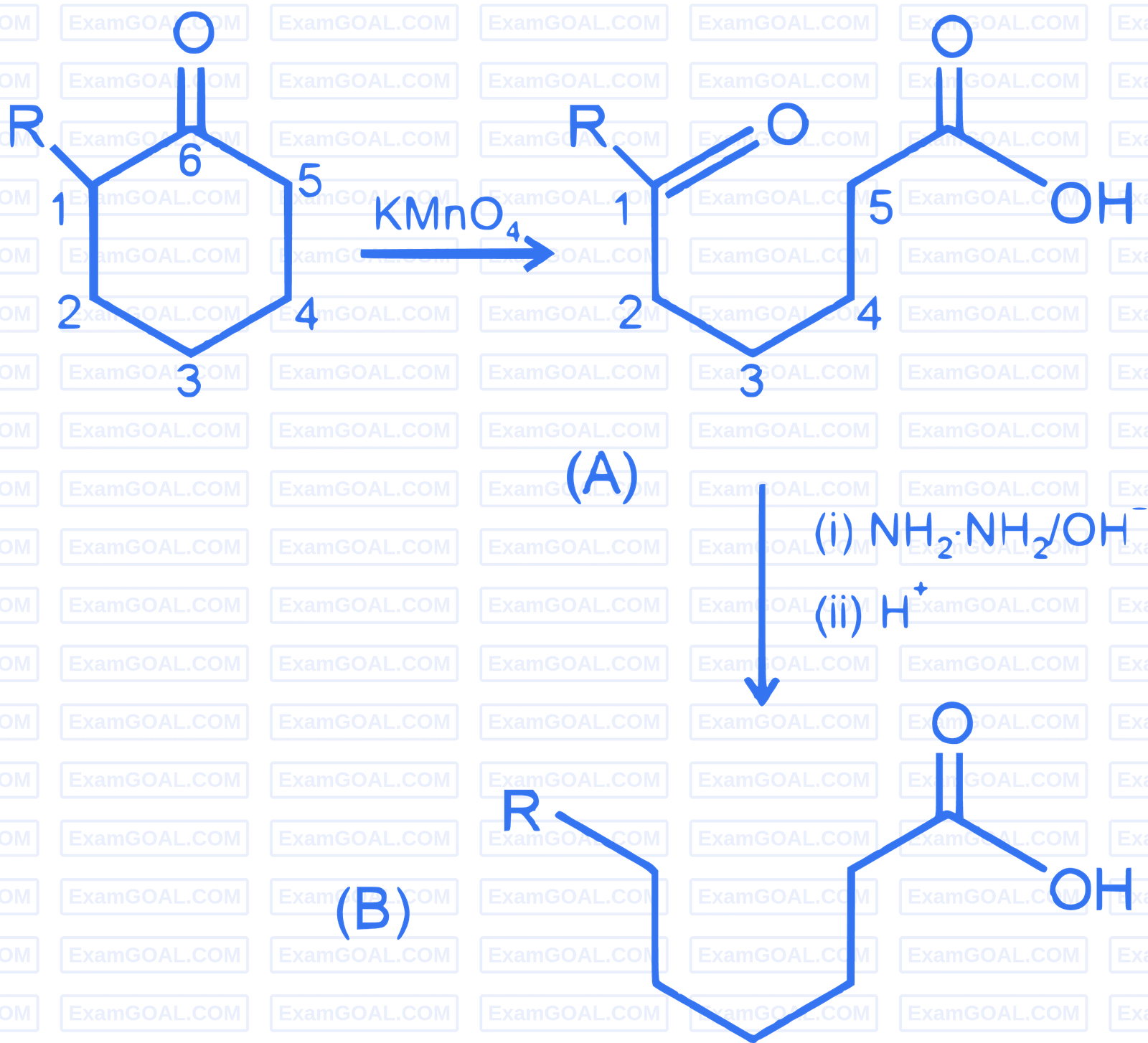 JEE Main 2023 (Online) 11th April Morning Shift Chemistry - Aldehydes, Ketones and Carboxylic Acids Question 83 English Explanation