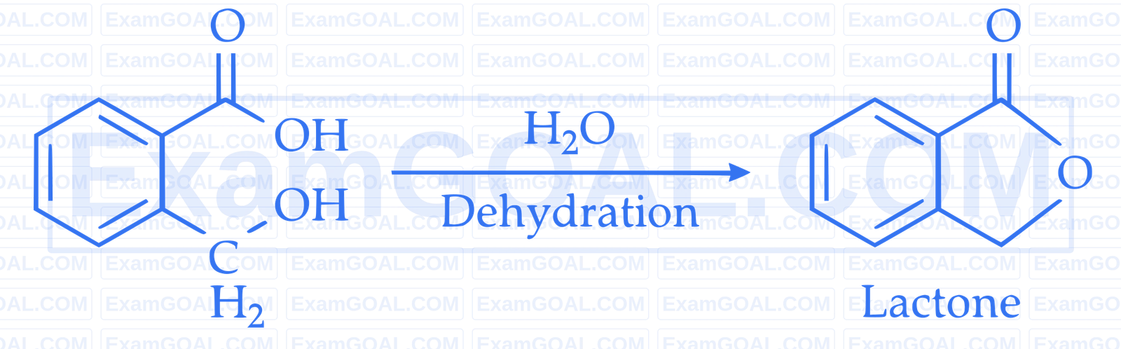 IIT-JEE 2006 Chemistry - Aldehydes, Ketones and Carboxylic Acids Question 2 English Explanation 8