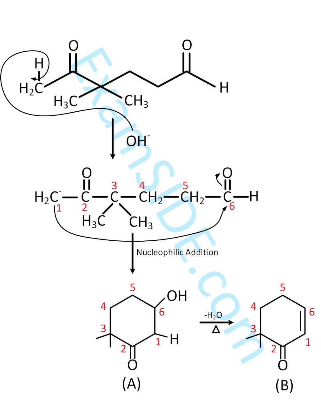 JEE Main 2019 (Online) 12th January Morning Slot Chemistry - Aldehydes, Ketones and Carboxylic Acids Question 221 English Explanation