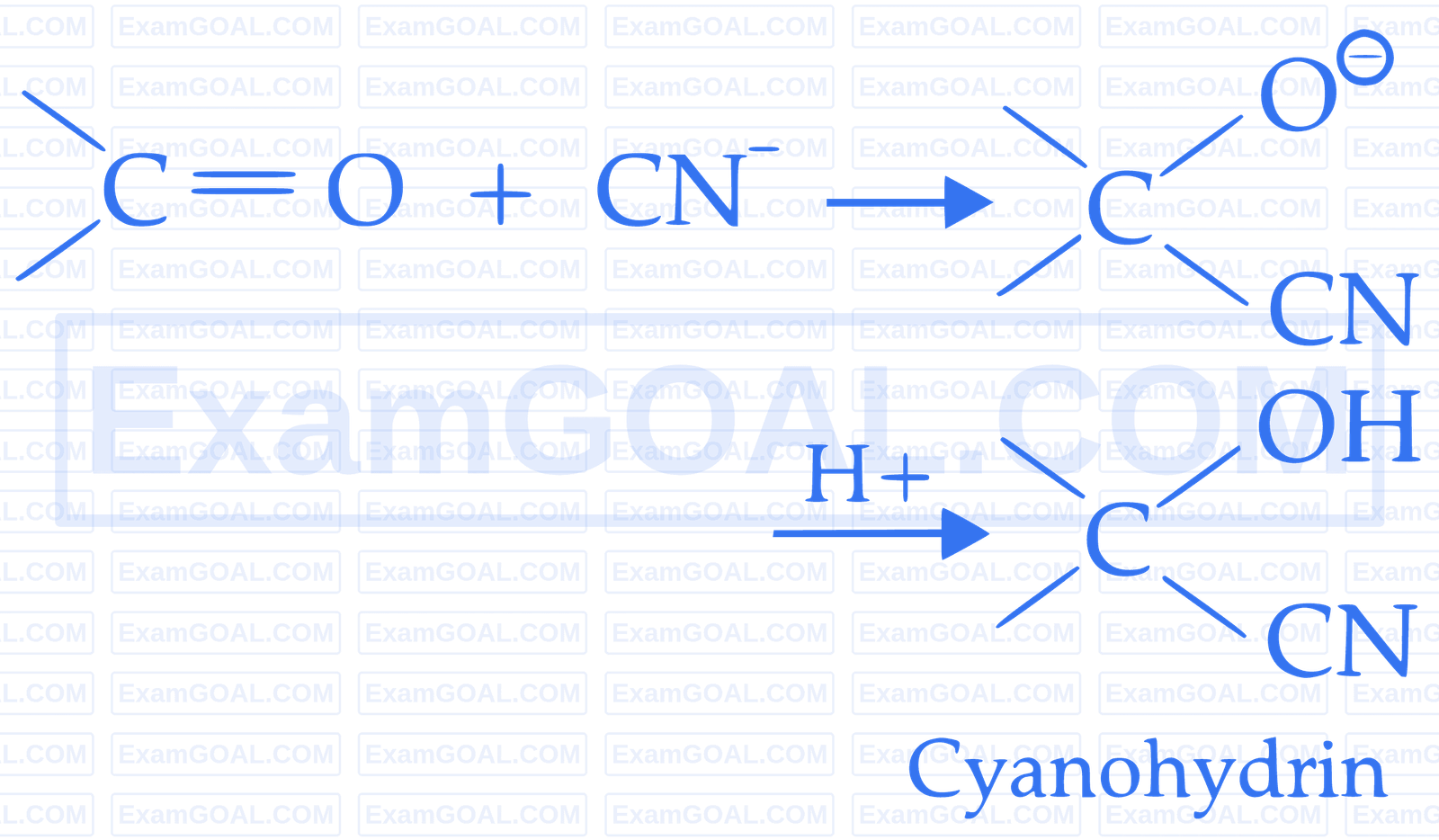 IIT-JEE 2007 Paper 2 Offline Chemistry - Aldehydes, Ketones and Carboxylic Acids Question 17 English Explanation 4