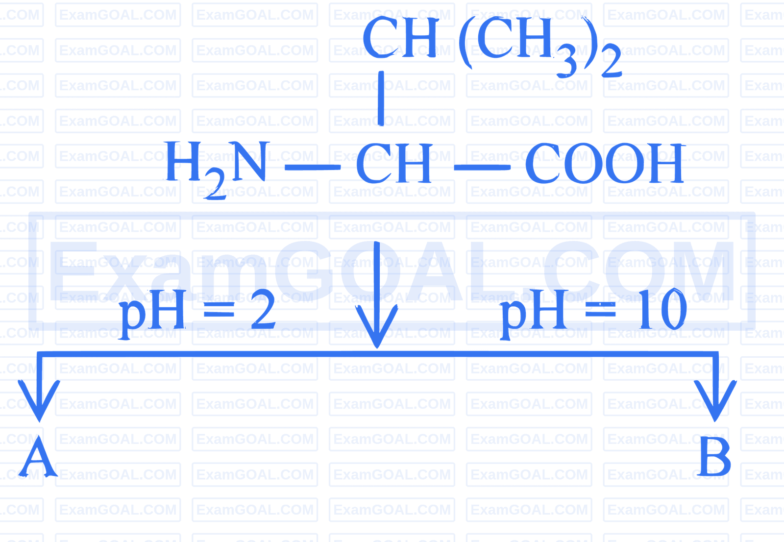 JEE Main 2025 (Online) 8th April Evening Shift Chemistry - Aldehydes, Ketones and Carboxylic Acids Question 31 English