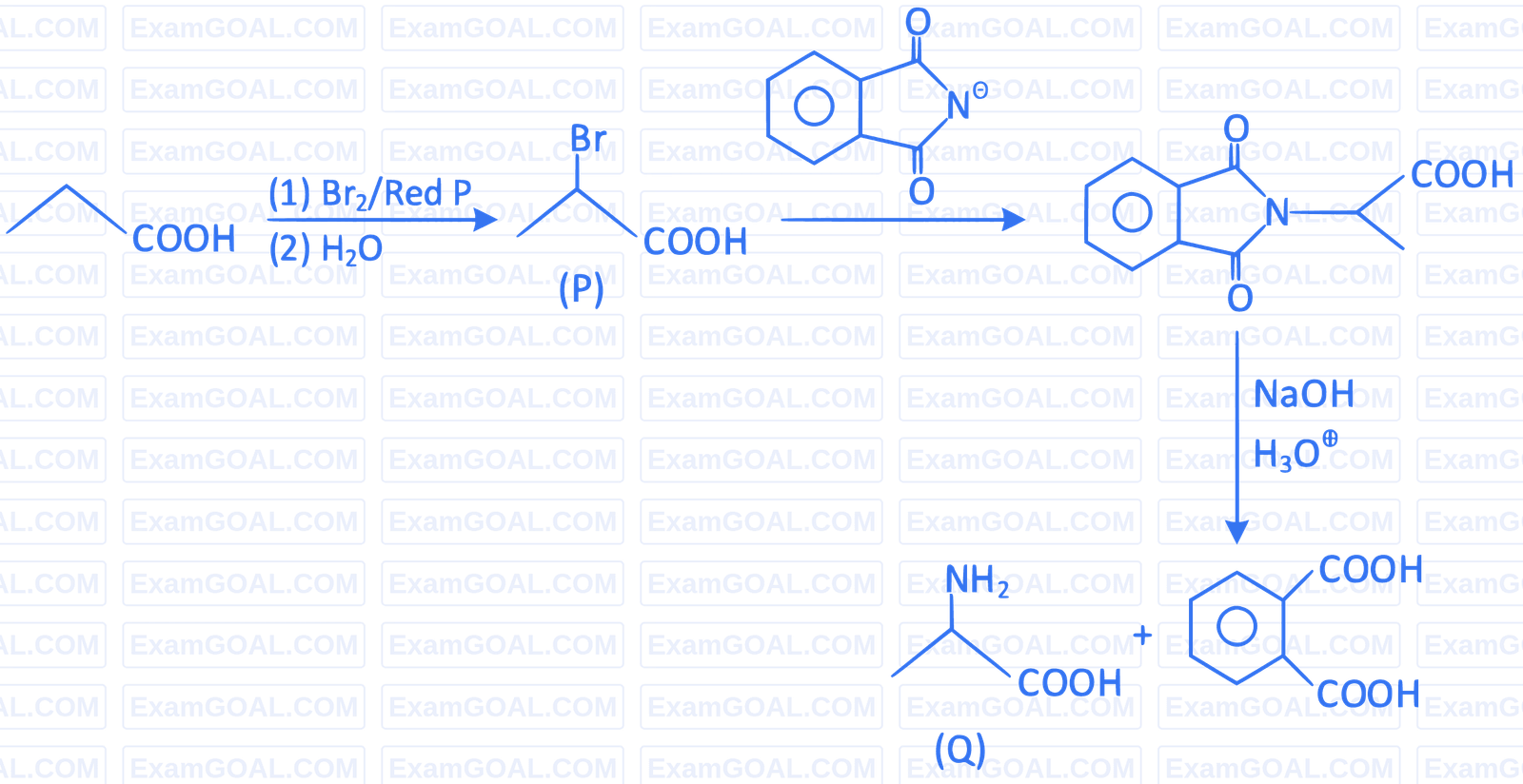 JEE Advanced 2022 Paper 1 Online Chemistry - Aldehydes, Ketones and Carboxylic Acids Question 29 English Explanation 1