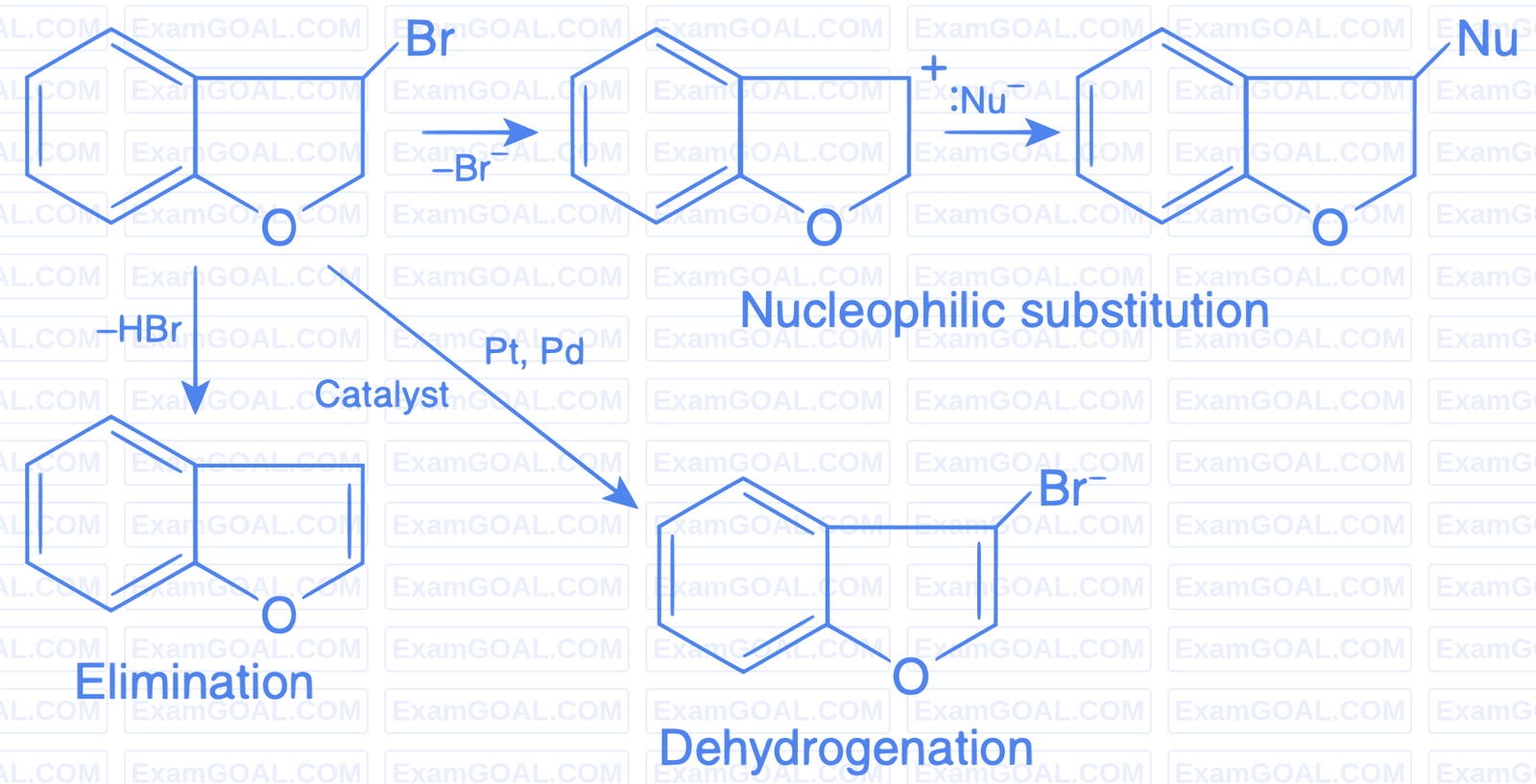 IIT-JEE 2009 Paper 2 Offline Chemistry - Aldehydes, Ketones and Carboxylic Acids Question 23 English Explanation 1