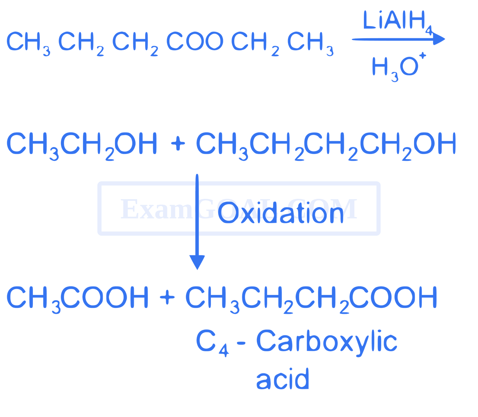 JEE Main 2021 (Online) 1st September Evening Shift Chemistry - Aldehydes, Ketones and Carboxylic Acids Question 140 English Explanation