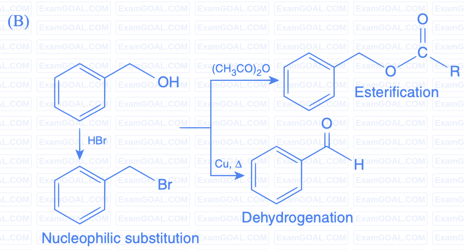 IIT-JEE 2009 Paper 2 Offline Chemistry - Aldehydes, Ketones and Carboxylic Acids Question 23 English Explanation 2