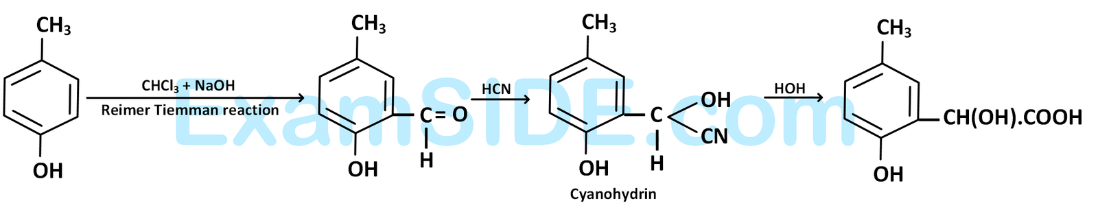 AIEEE 2005 Chemistry - Aldehydes, Ketones and Carboxylic Acids Question 250 English Explanation