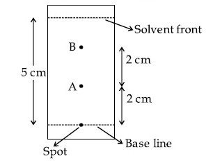 JEE Main 2021 (Online) 25th February Morning Shift Chemistry - Basics of Organic Chemistry Question 190 English