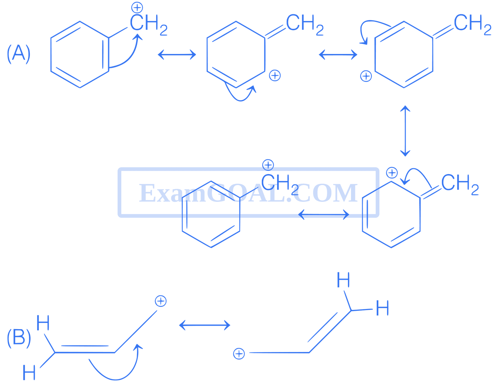 JEE Main 2021 (Online) 20th July Morning Shift Chemistry - Basics of Organic Chemistry Question 180 English Explanation