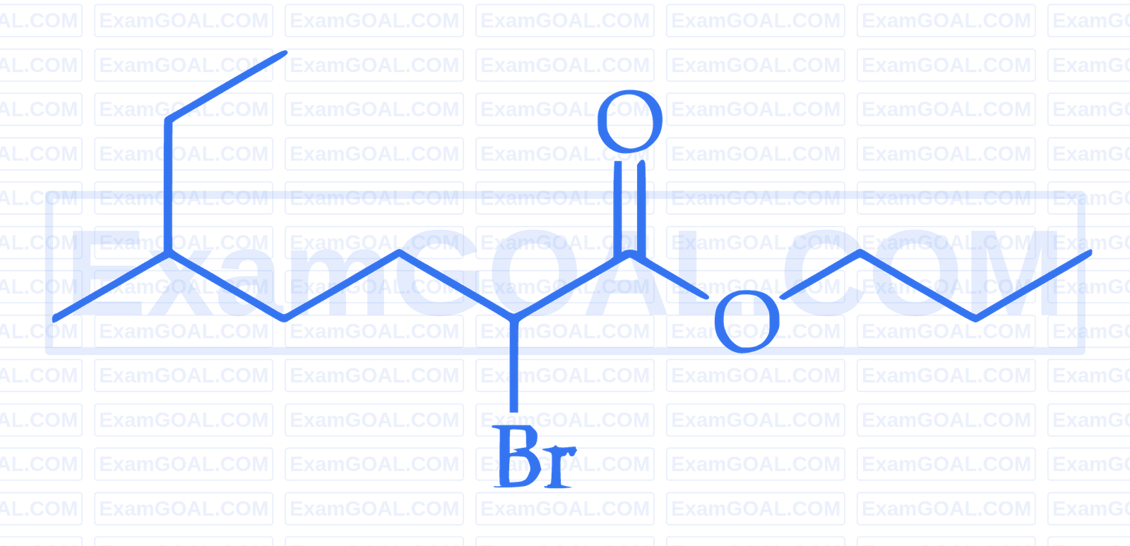 JEE Main 2026 (Online) 22nd January Evening Shift Chemistry - Basics of Organic Chemistry Question 6 English
