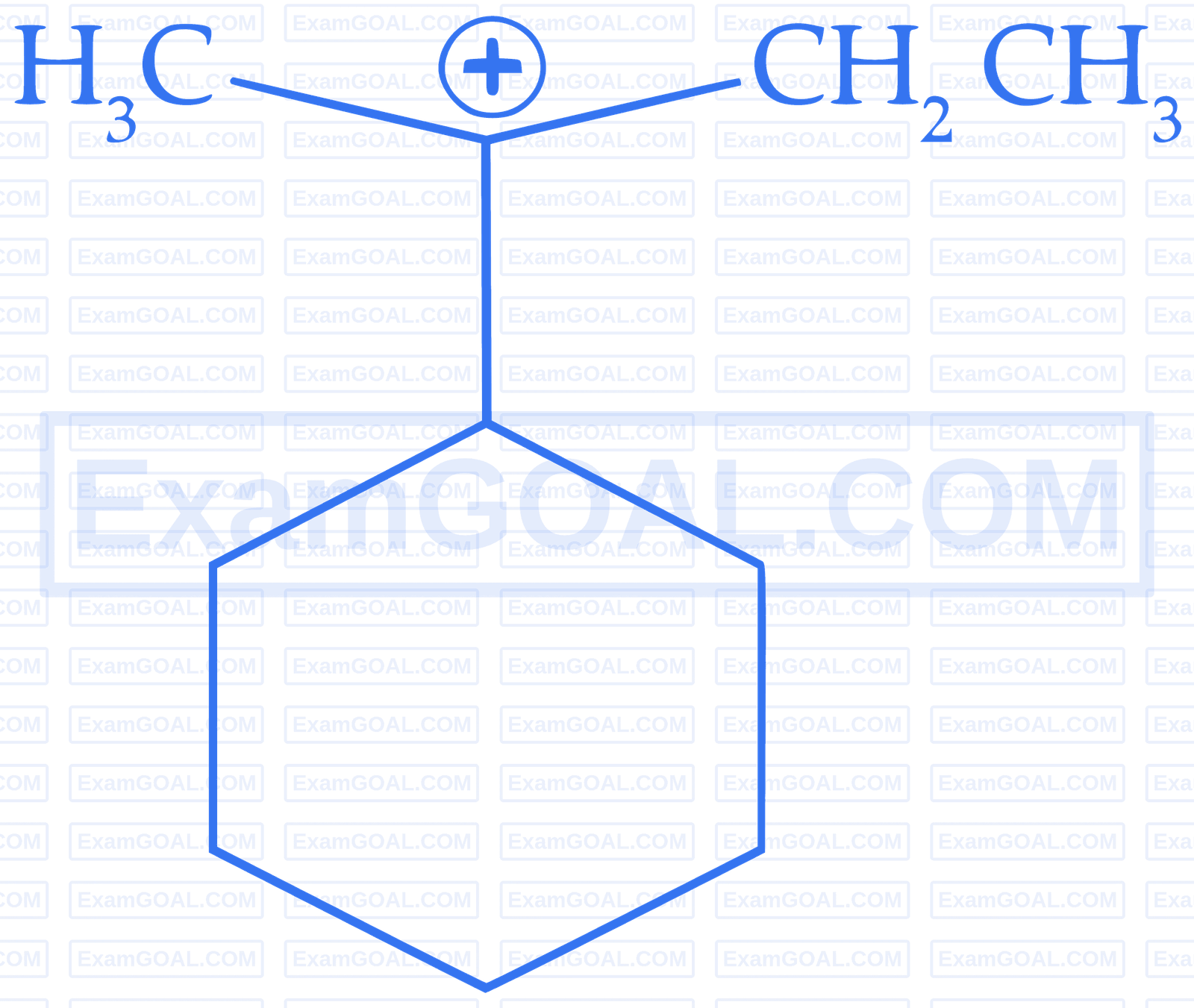 IIT-JEE 2011 Paper 2 Offline Chemistry - Basics of Organic Chemistry Question 19 English