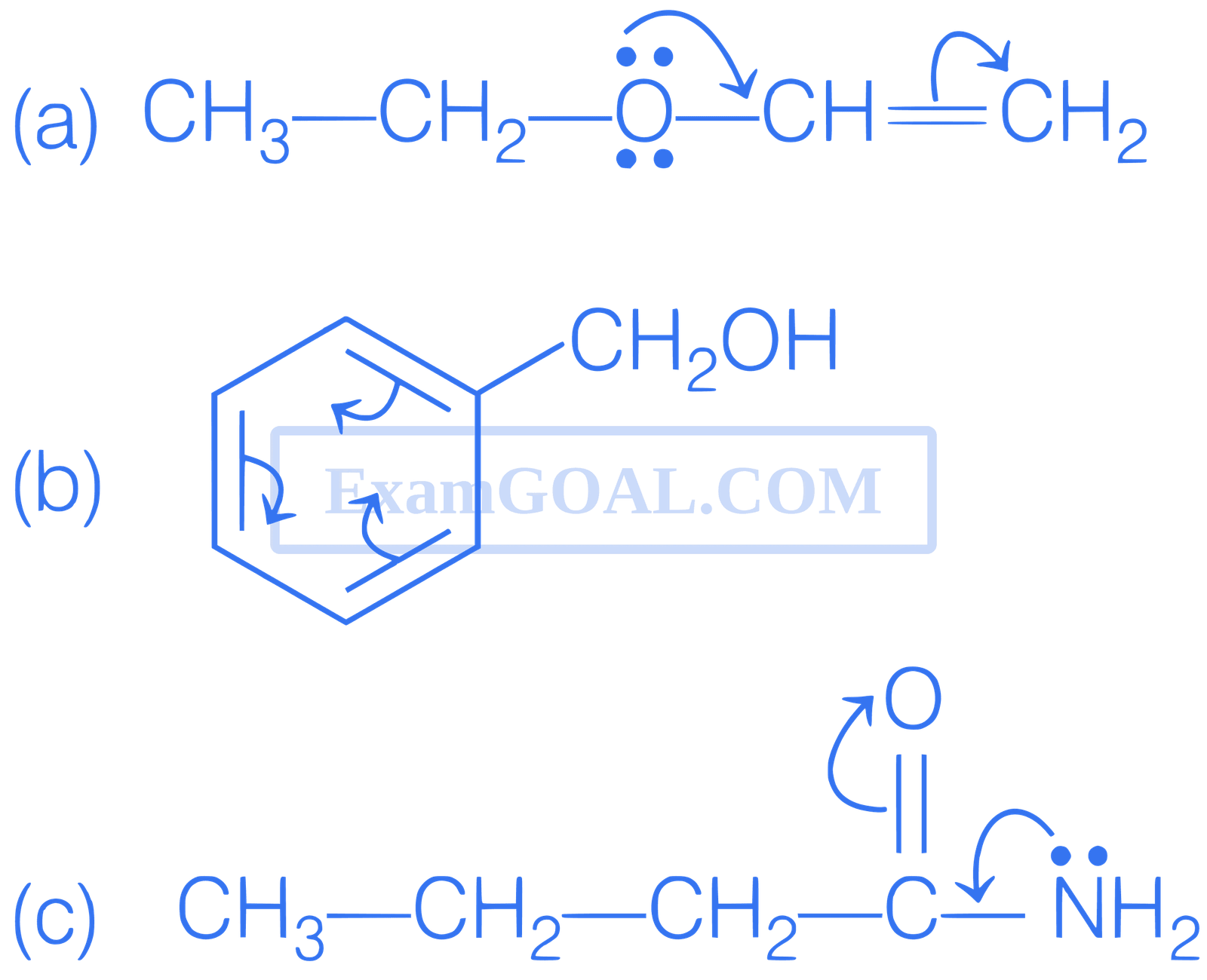 JEE Main 2021 (Online) 22th July Evening Shift Chemistry - Basics of Organic Chemistry Question 177 English Explanation