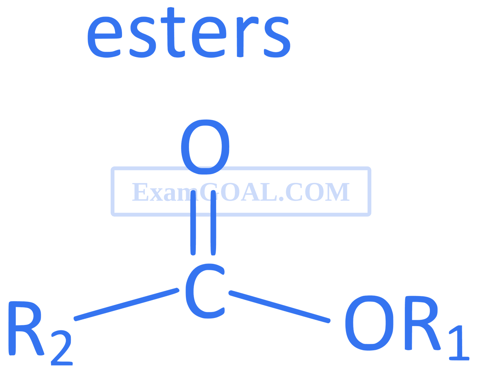 JEE Main 2019 (Online) 8th April Morning Slot Chemistry - Basics of Organic Chemistry Question 218 English Explanation 5
