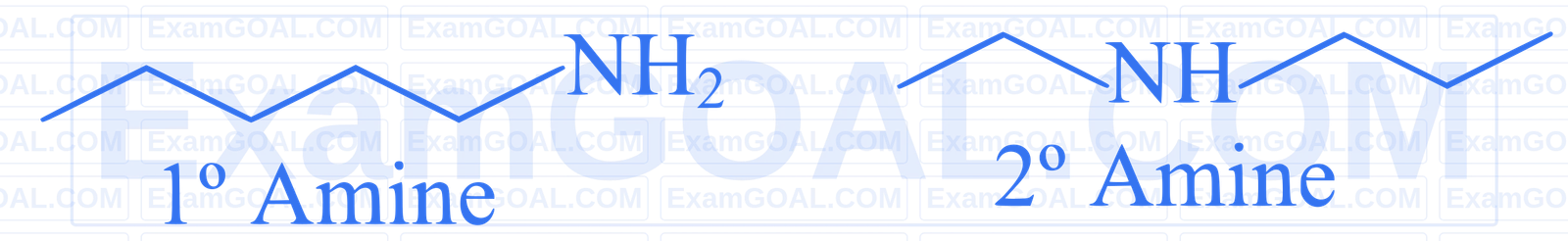 JEE Main 2025 (Online) 28th January Evening Shift Chemistry - Basics of Organic Chemistry Question 39 English Explanation 2