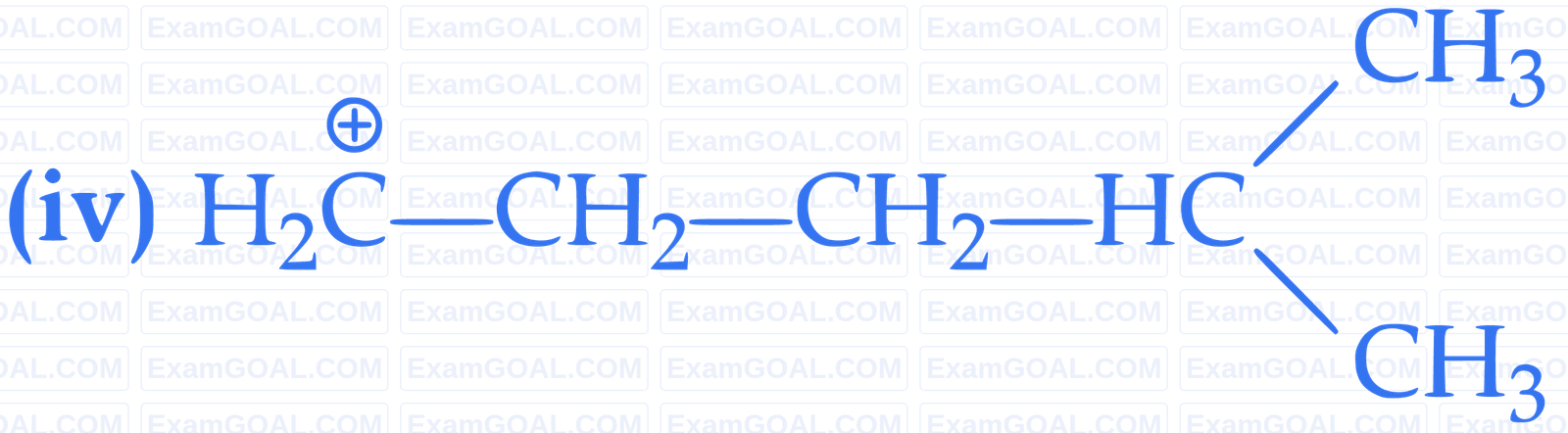 IIT-JEE 2008 Paper 2 Offline Chemistry - Basics of Organic Chemistry Question 5 English Explanation 4