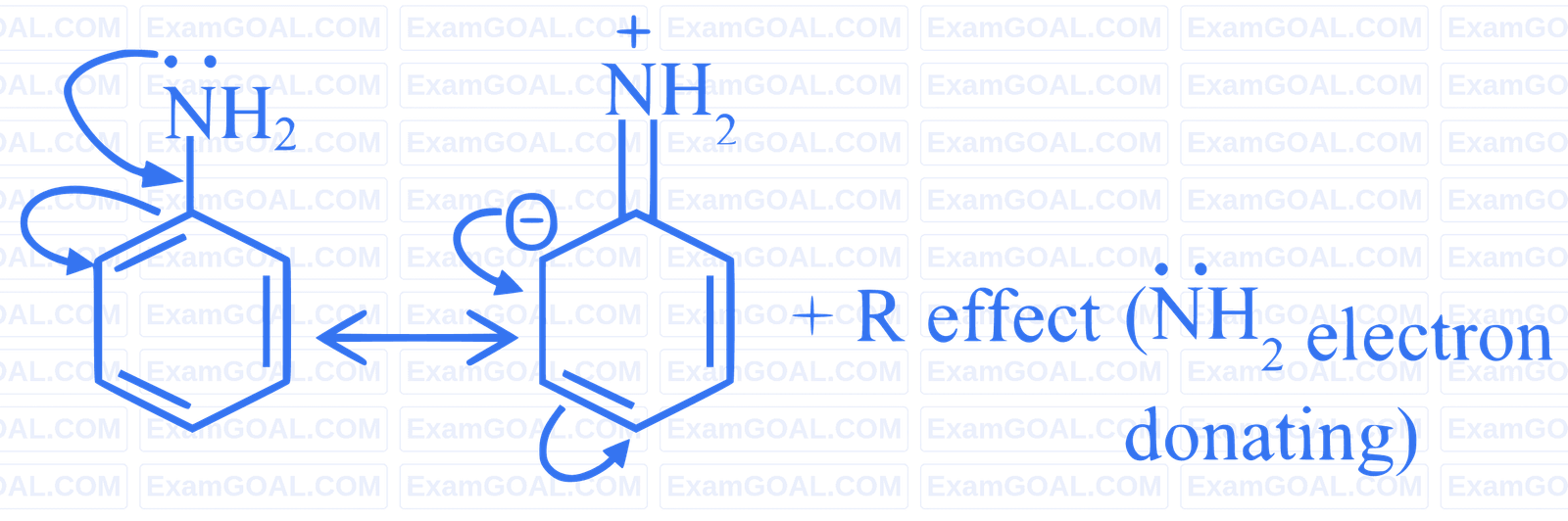 JEE Main 2024 (Online) 4th April Morning Shift Chemistry - Basics of Organic Chemistry Question 66 English Explanation 1