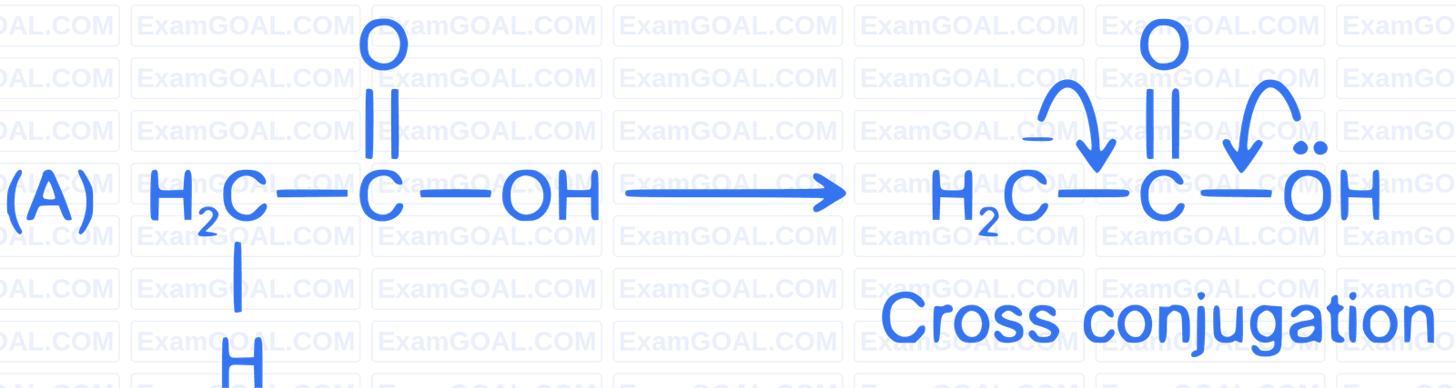 JEE Main 2022 (Online) 28th July Morning Shift Chemistry - Basics of Organic Chemistry Question 131 English Explanation 1