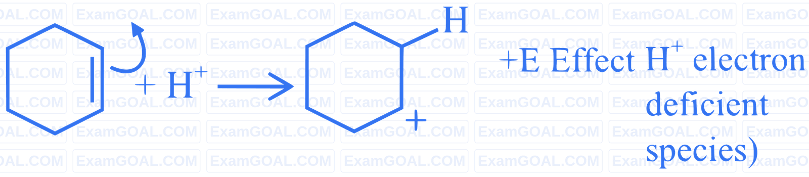 JEE Main 2024 (Online) 4th April Morning Shift Chemistry - Basics of Organic Chemistry Question 66 English Explanation 3