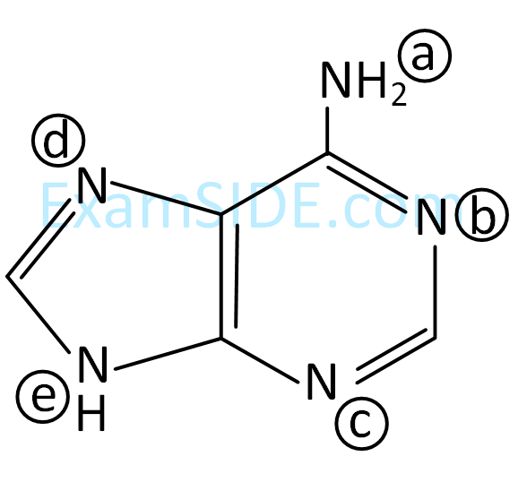 JEE Main 2019 (Online) 11th January Evening Slot Chemistry - Basics of Organic Chemistry Question 220 English