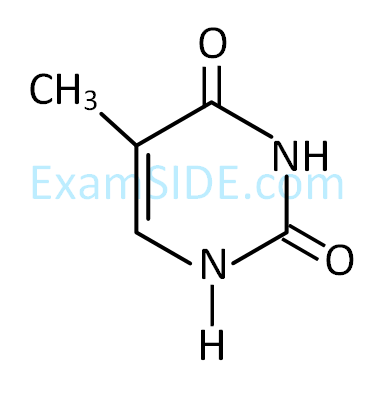 JEE Main 2019 (Online) 11th January Morning Slot Chemistry - Biomolecules Question 154 English Option 1