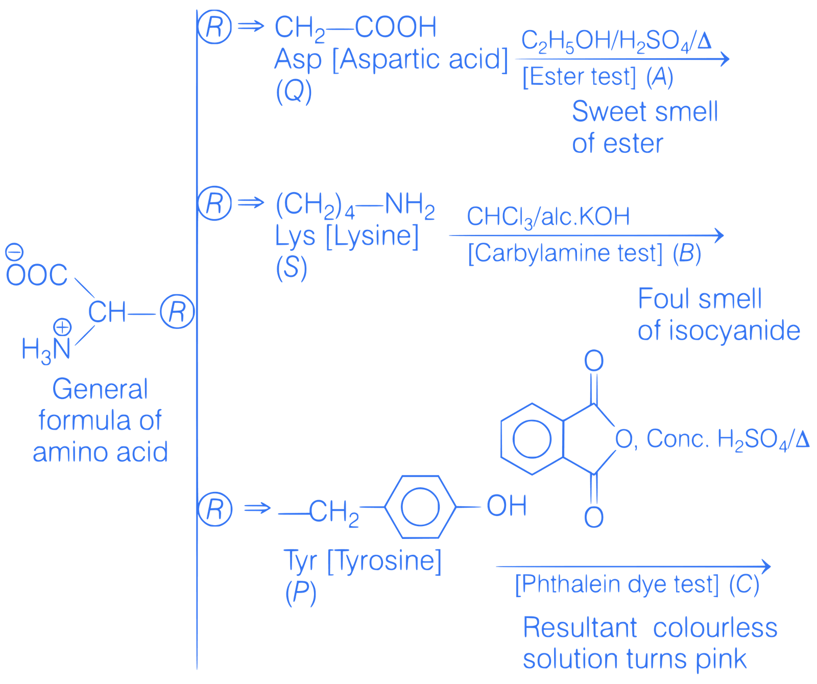 JEE Main 2019 (Online) 11th January Evening Slot Chemistry - Biomolecules Question 153 English Explanation