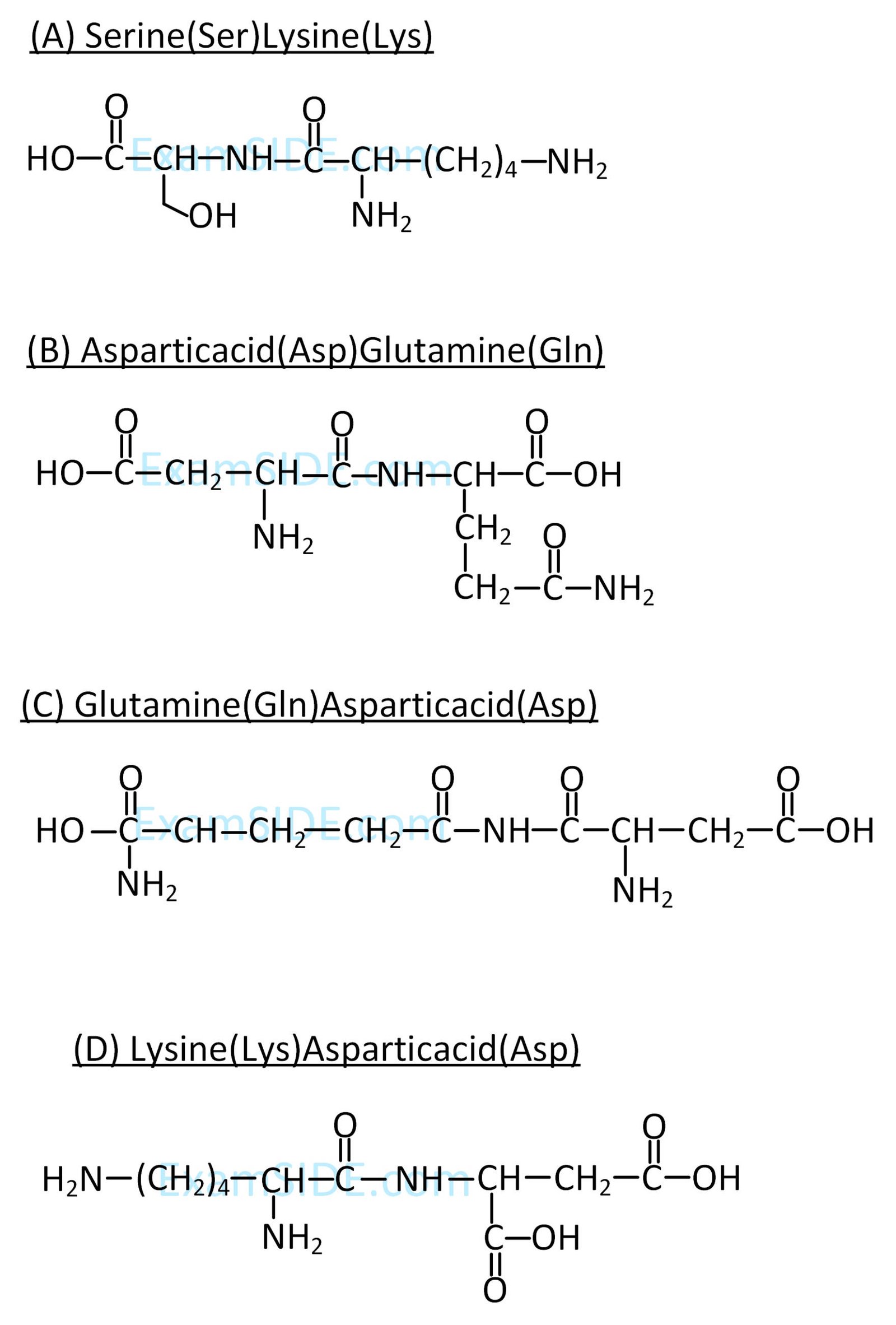 JEE Main 2019 (Online) 9th April Evening Slot Chemistry - Biomolecules Question 146 English Explanation