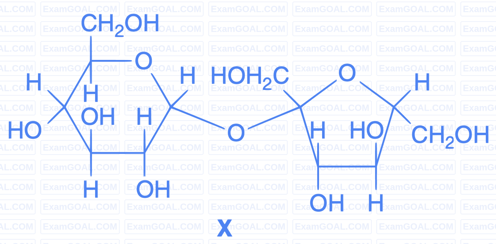 IIT-JEE 2009 Paper 2 Offline Chemistry - Biomolecules Question 7 English 1