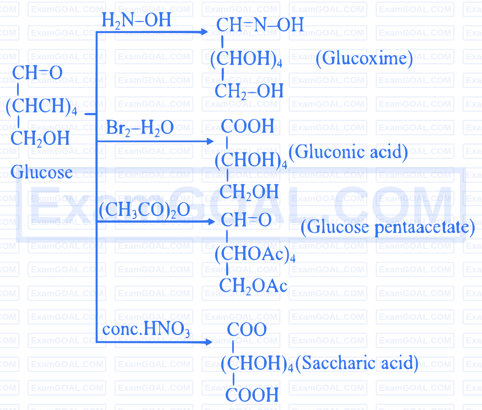JEE Main 2026 (Online) 22nd January Evening Shift Chemistry - Biomolecules Question 3 English Explanation
