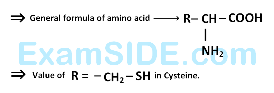 JEE Main 2016 (Offline) Chemistry - Biomolecules Question 187 English Explanation