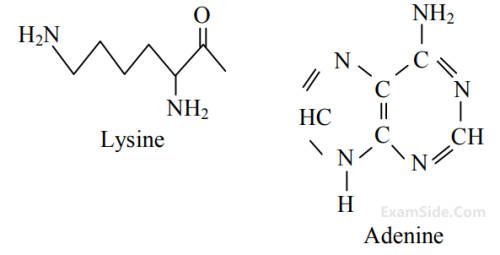 JEE Main 2020 (Online) 4th September Morning Slot Chemistry - Biomolecules Question 133 English Explanation