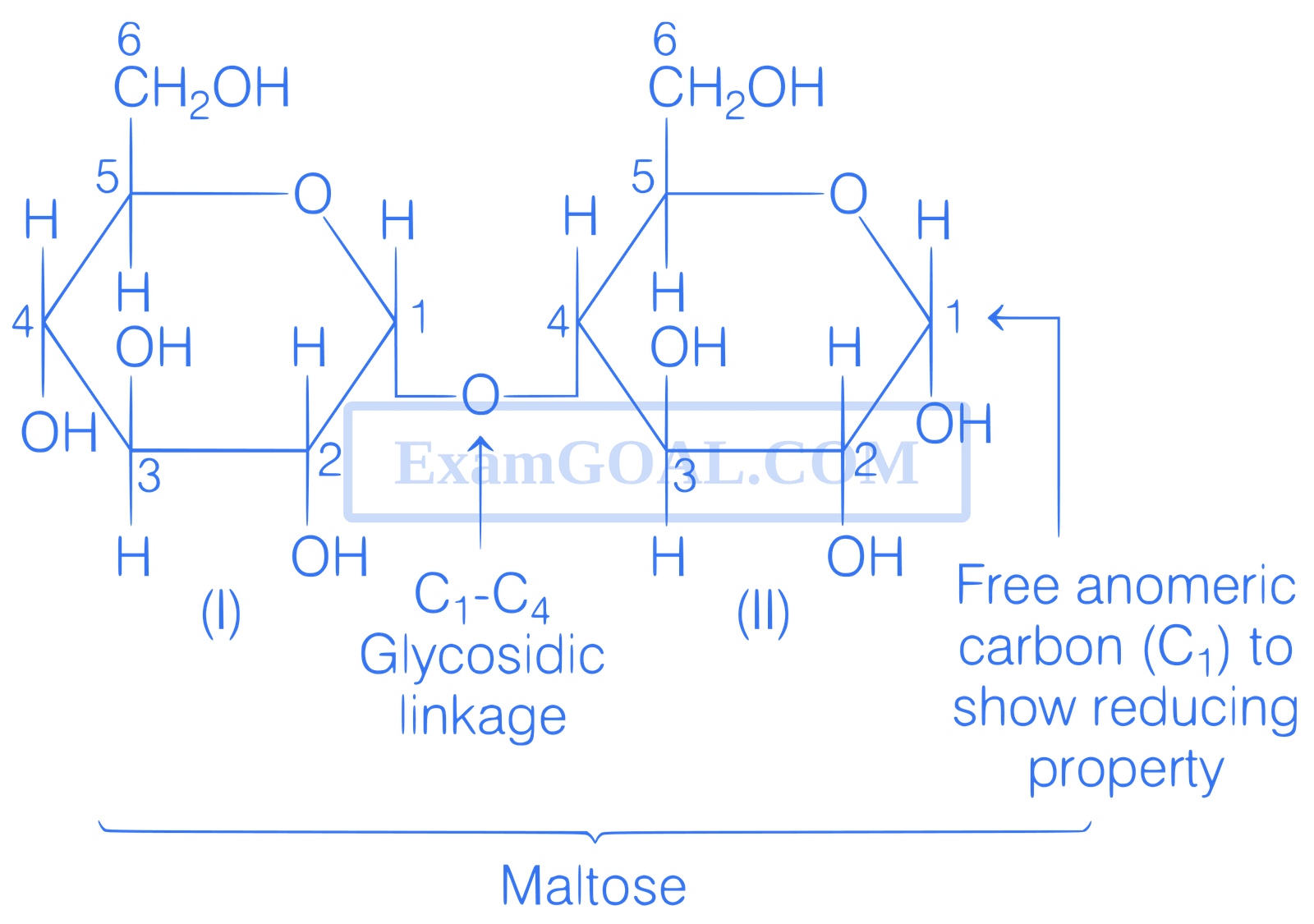 JEE Main 2021 (Online) 25th February Evening Shift Chemistry - Biomolecules Question 123 English Explanation