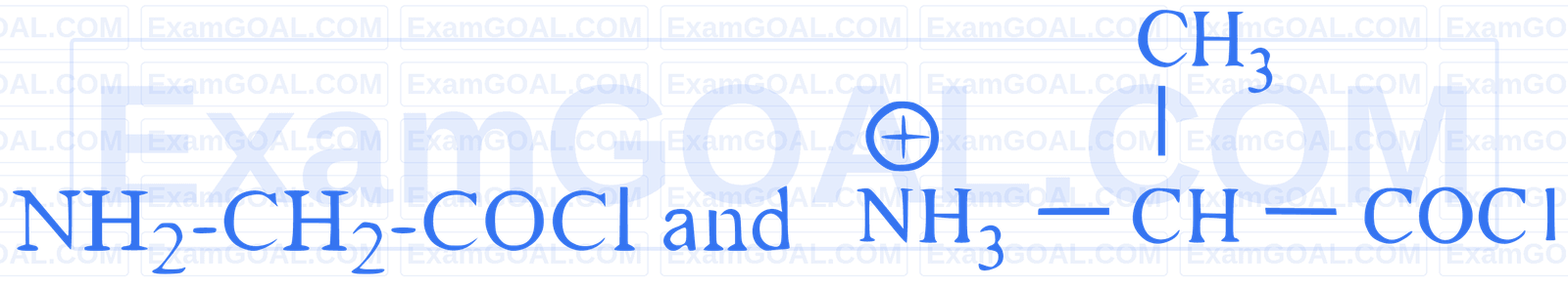 JEE Main 2025 (Online) 4th April Morning Shift Chemistry - Biomolecules Question 11 English Option 2