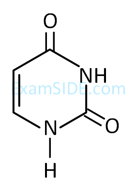 JEE Main 2019 (Online) 11th January Morning Slot Chemistry - Biomolecules Question 154 English Option 3
