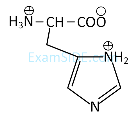 JEE Main 2019 (Online) 12th January Evening Slot Chemistry - Biomolecules Question 151 English Option 3
