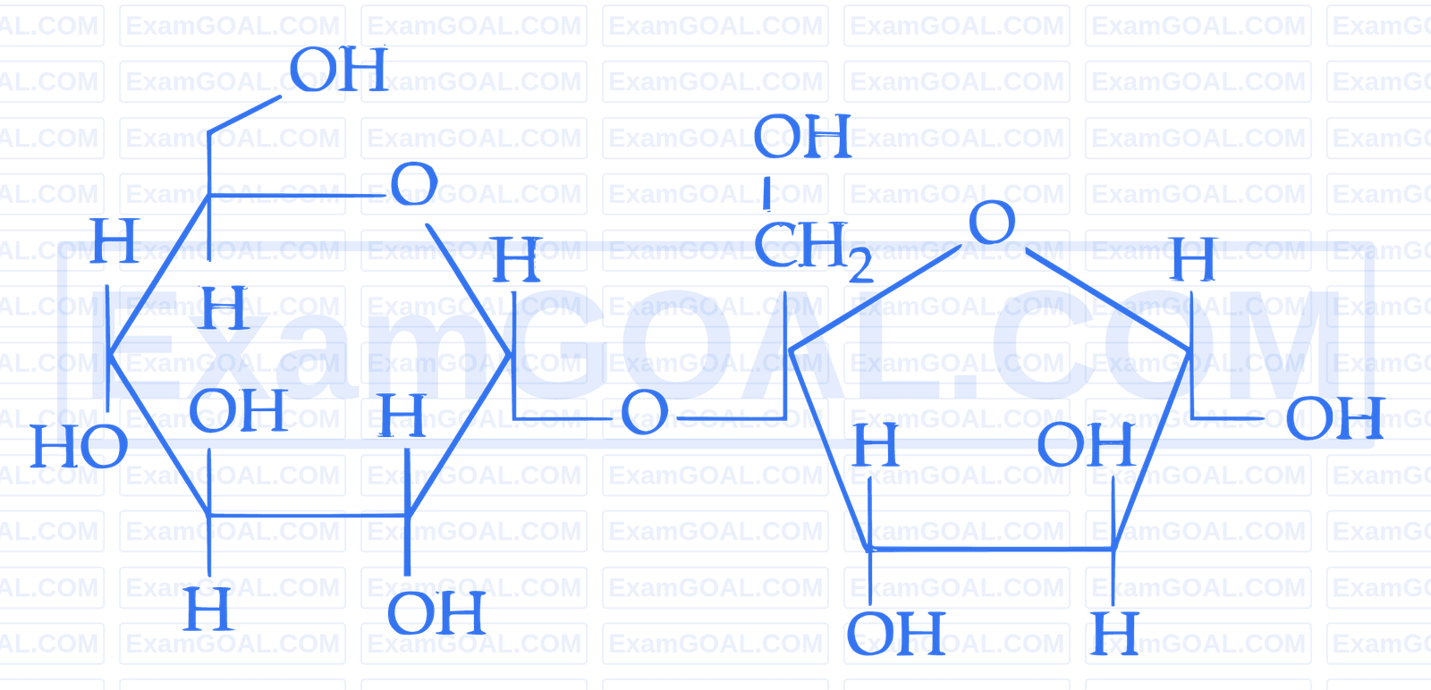 JEE Main 2026 (Online) 28th January Evening Shift Chemistry - Biomolecules Question 7 English Option 1