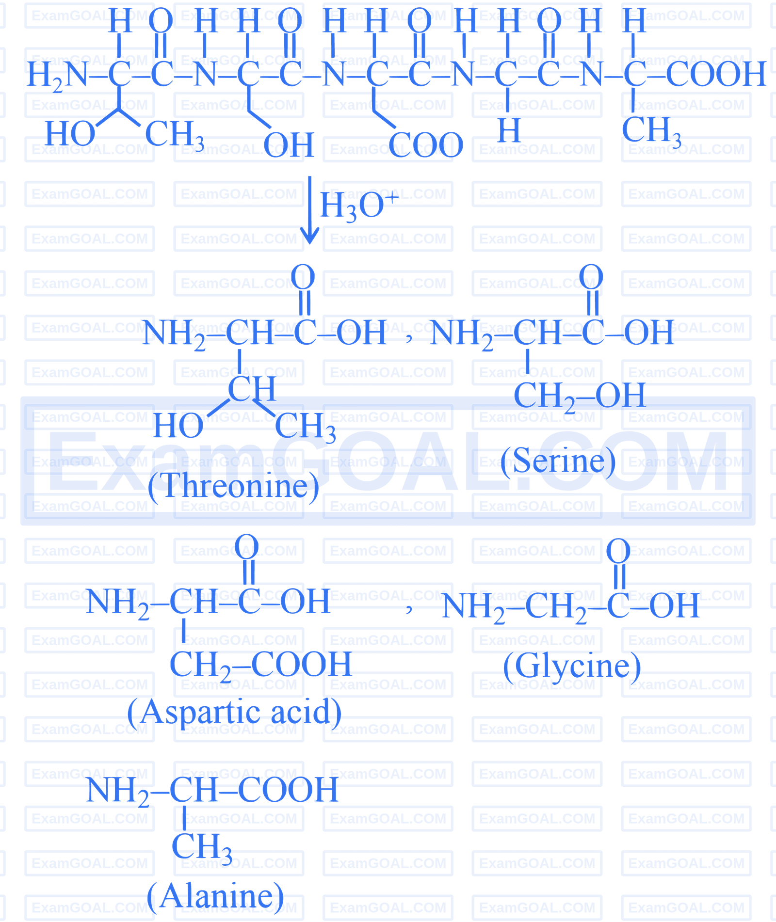 JEE Main 2026 (Online) 28th January Morning Shift Chemistry - Biomolecules Question 6 English Explanation