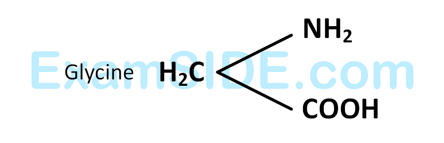 AIEEE 2002 Chemistry - Biomolecules Question 189 English Explanation