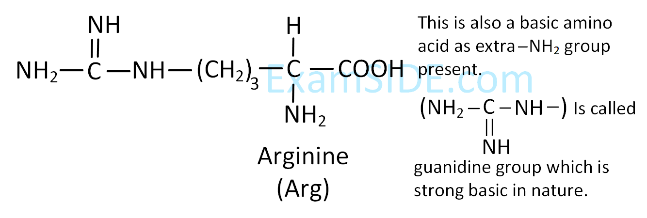 JEE Main 2019 (Online) 9th January Morning Slot Chemistry - Biomolecules Question 158 English Explanation 4
