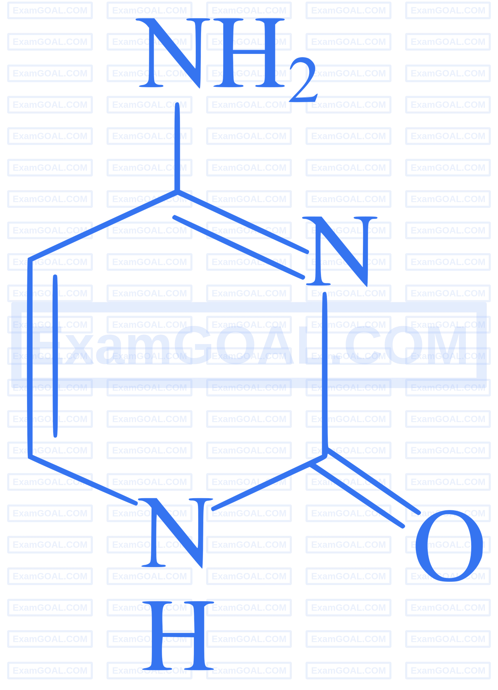 JEE Main 2025 (Online) 24th January Evening Shift Chemistry - Biomolecules Question 19 English Explanation 2