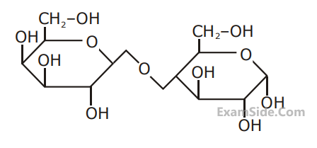 JEE Main 2020 (Online) 6th September Evening Slot Chemistry - Biomolecules Question 127 English Explanation
