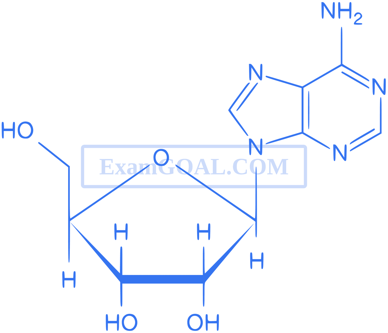 JEE Main 2018 (Online) 15th April Morning Slot Chemistry - Biomolecules Question 165 English Explanation