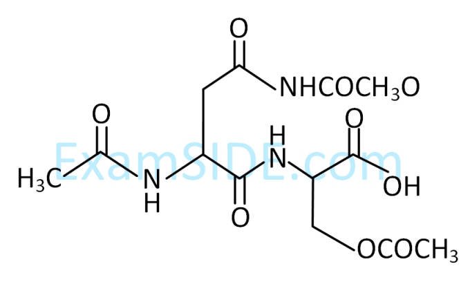 JEE Main 2019 (Online) 10th January Morning Slot Chemistry - Biomolecules Question 156 English Option 4