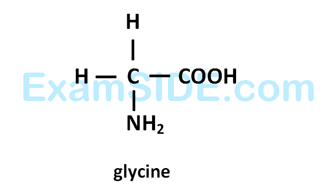 AIEEE 2012 Chemistry - Biomolecules Question 173 English Explanation