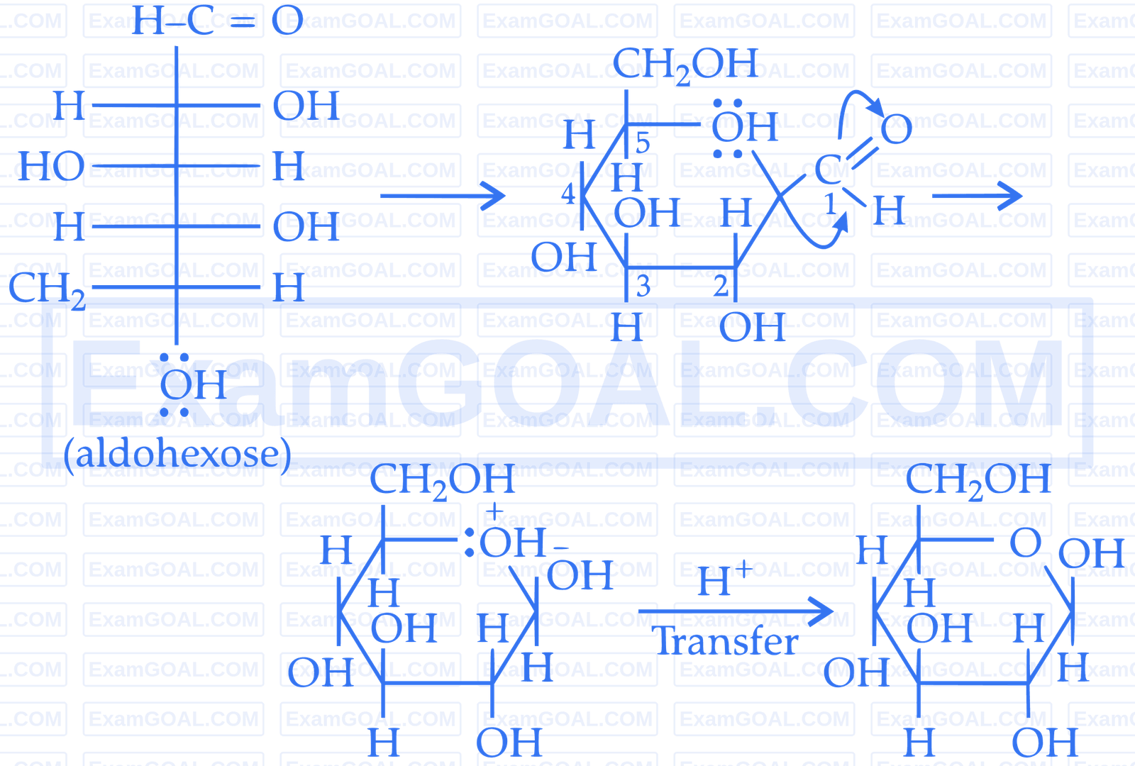 IIT-JEE 2011 Paper 2 Offline Chemistry - Biomolecules Question 11 English Explanation 4