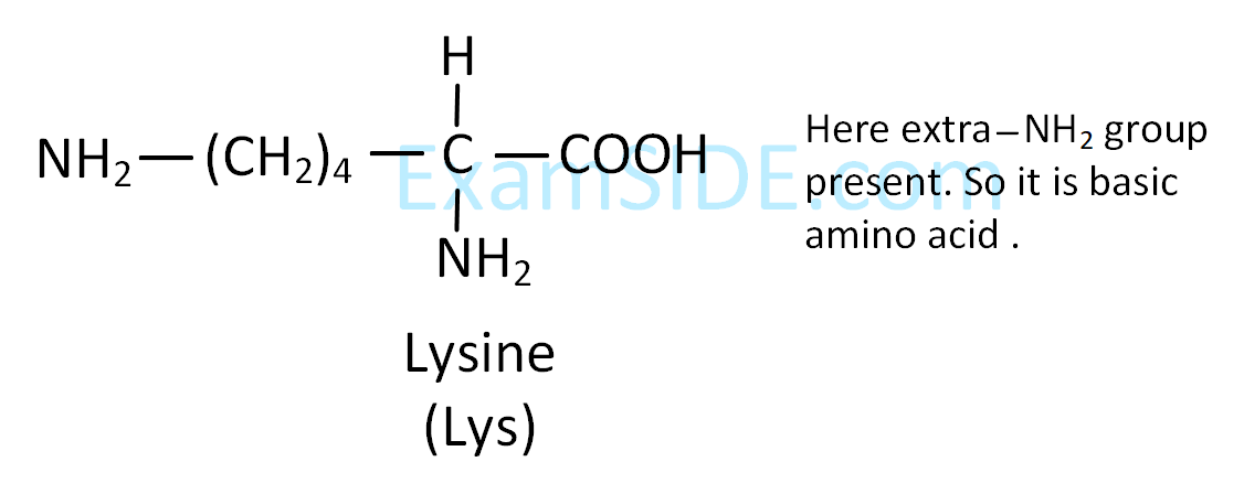 JEE Main 2019 (Online) 9th January Morning Slot Chemistry - Biomolecules Question 158 English Explanation 3
