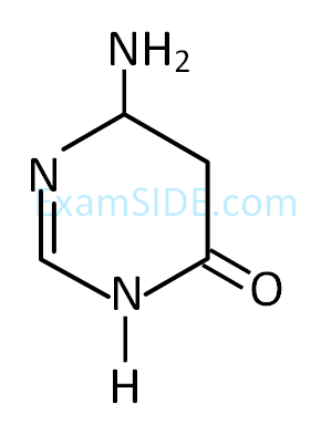JEE Main 2019 (Online) 11th January Morning Slot Chemistry - Biomolecules Question 154 English Option 4
