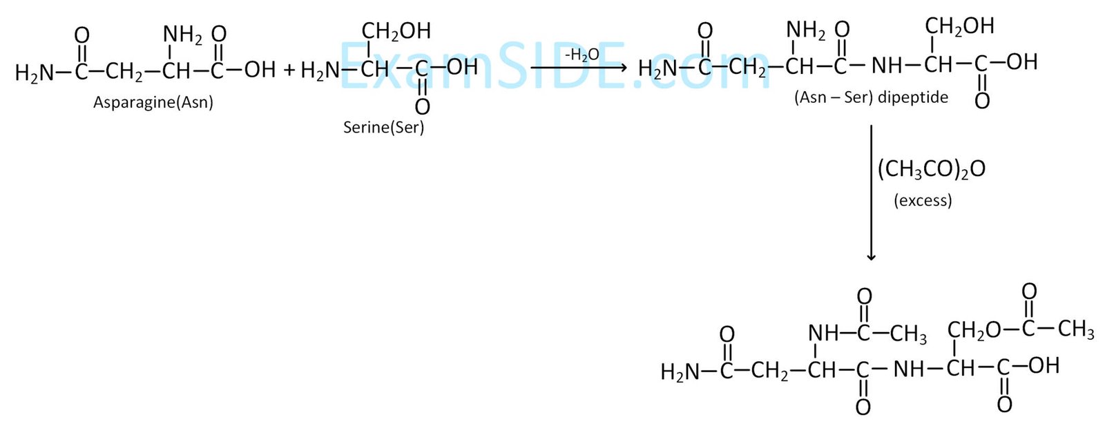 JEE Main 2019 (Online) 10th January Morning Slot Chemistry - Biomolecules Question 156 English Explanation